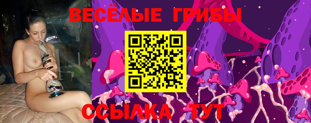 Галлюциногенные грибы Psilocybine cubensis Кашира
