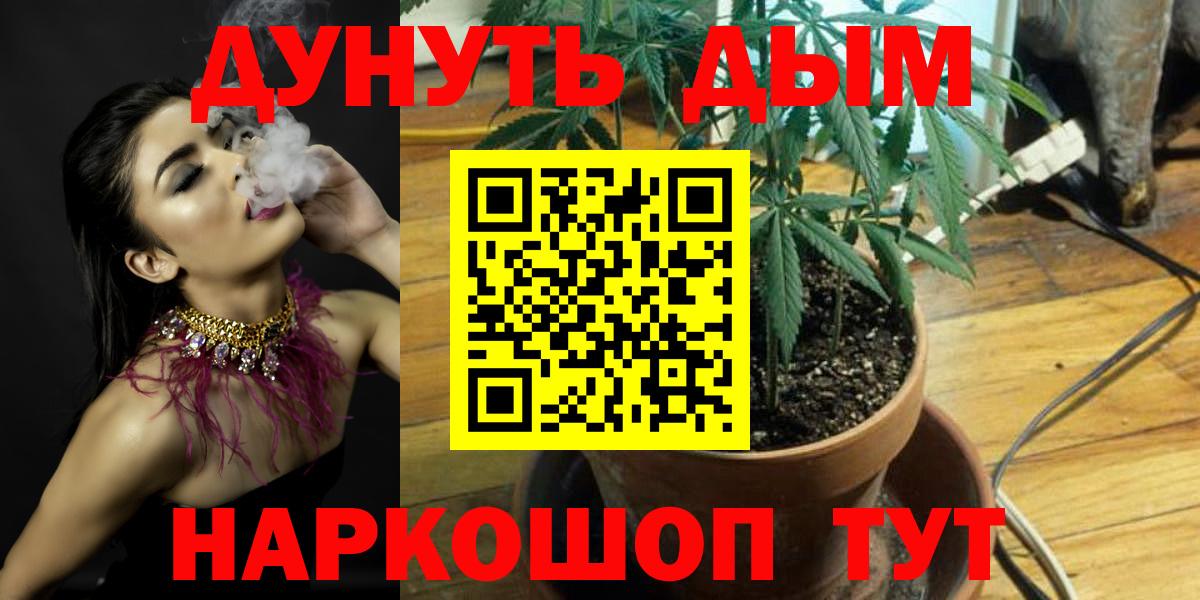 Шишки марихуана конопля  Вход с VPN  Канабис план  Кашира 